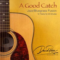 A Good Catch by David Rose