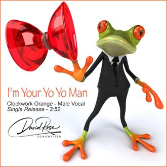 I'm Your Yo Yo Man