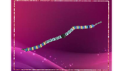 ‘Prideful’ Bracelet
