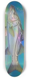 Super Snook