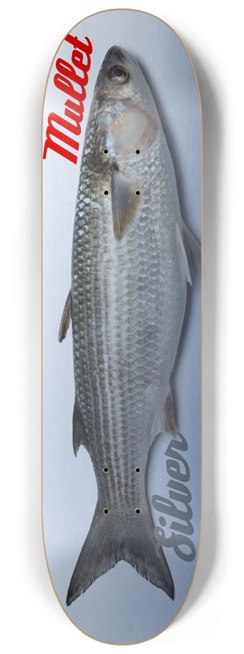 The Silver Mullet