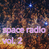 Space Radio Vol. 2 by Stacey Swann