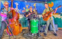 Ted Stevens and the Doo-Shots Sun Resorts Sarasota