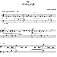 In Fading Light  by Tiana C Earnshaw