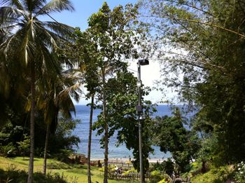 Maquerippe Bay, Trinidad
