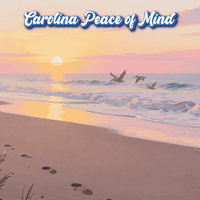 Carolina Peace of Mind by RadioActive Mammals