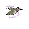 Calliope - Hummingbird Sticker
