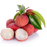 HER LYCHEE JUICY by NASTY 8 RECORDS 