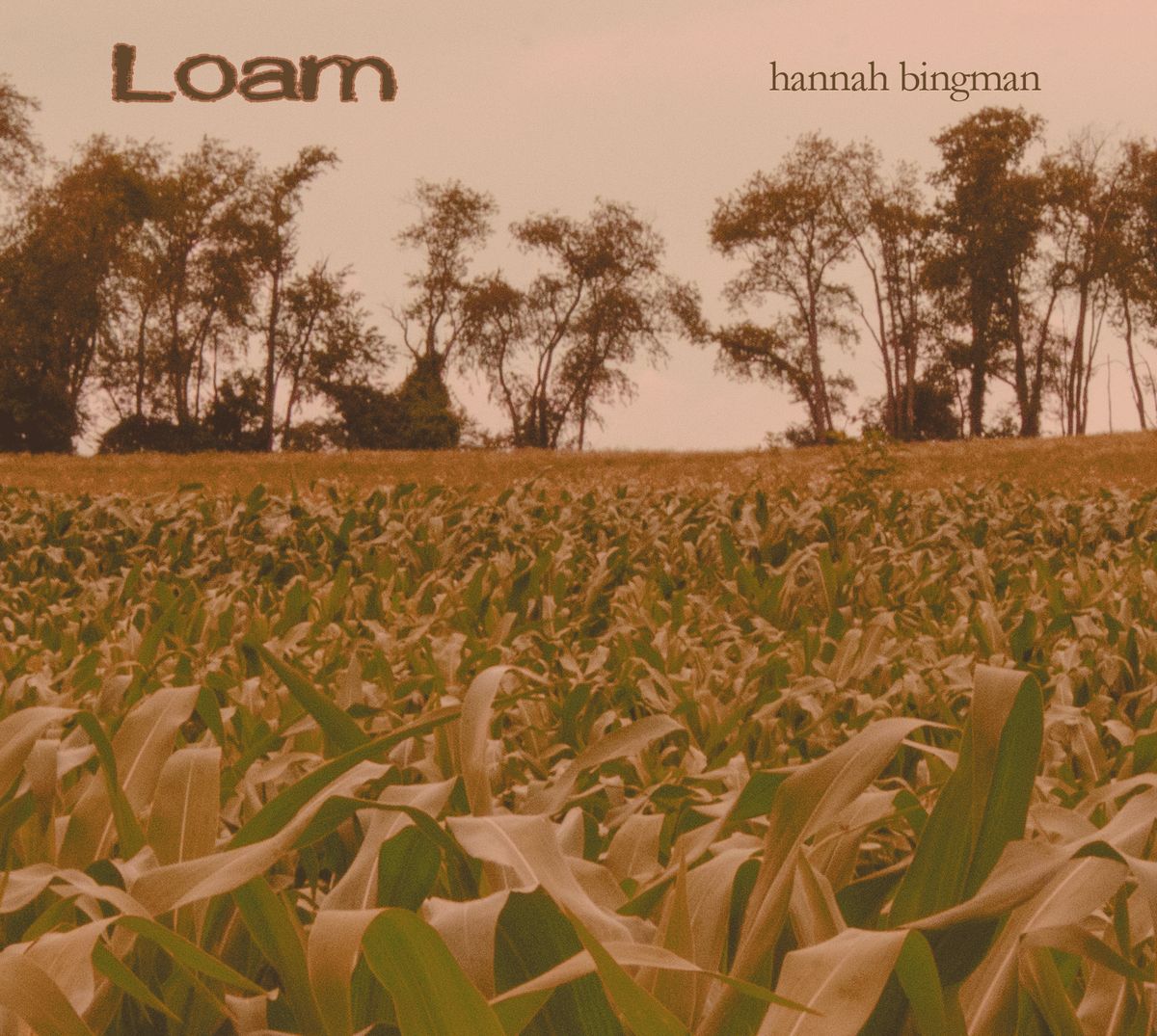 Loam - Compact Disc Album
