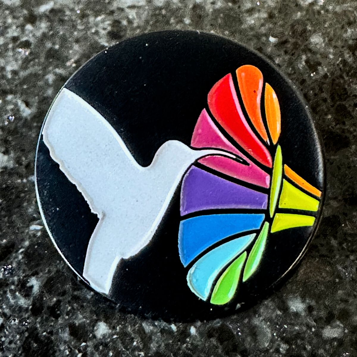 Hummingbird Rainbow Phonograph Enamel Pin 