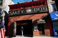 Andy Mac @ The Salty Dog