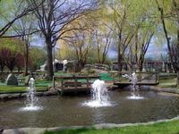 Randall's Island