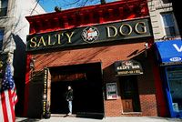 Andy Mac @ Salty Dog