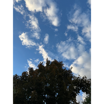 One
