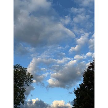 Two
