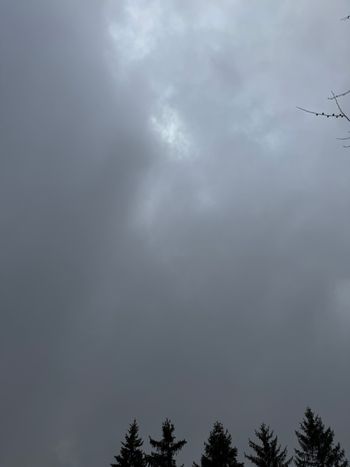 Snow In March Single
