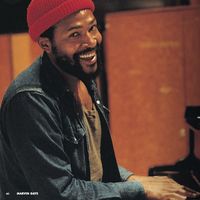 Mercy in the grapevine by Marvin Gaye Tribute - AFD Productions
