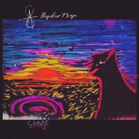 Stage Age by Alligator Boys