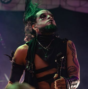 Vulture King
