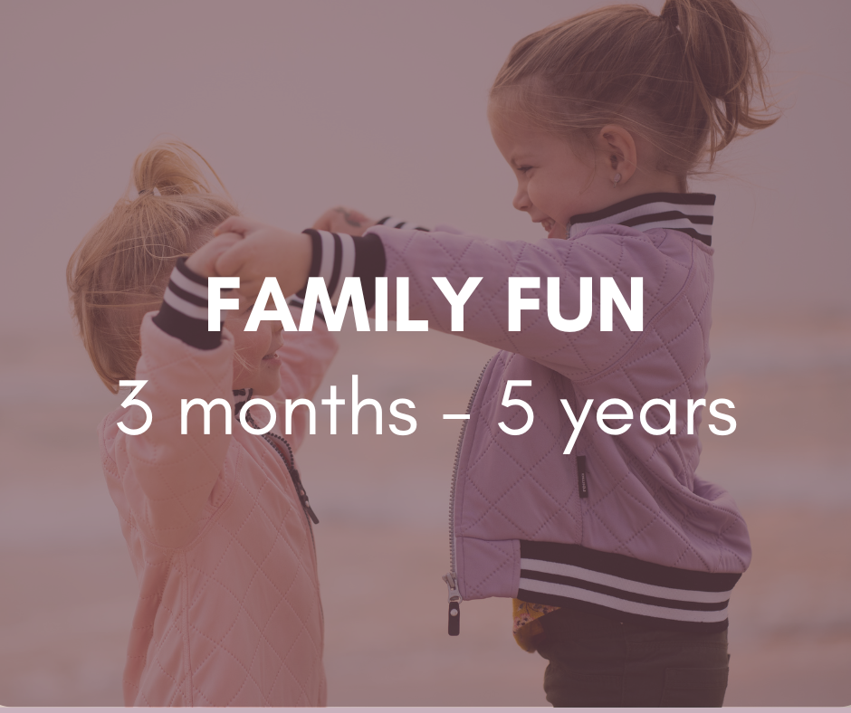 Family Fun 