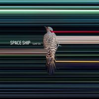 星舰 Space Ship by Lumi Liu