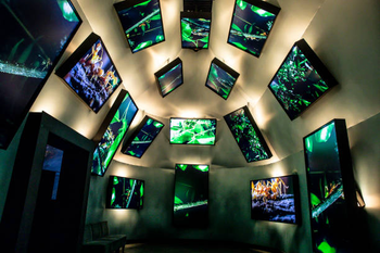 the 'micro world' with insects
