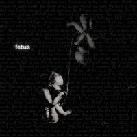 Fetus by Descriptor