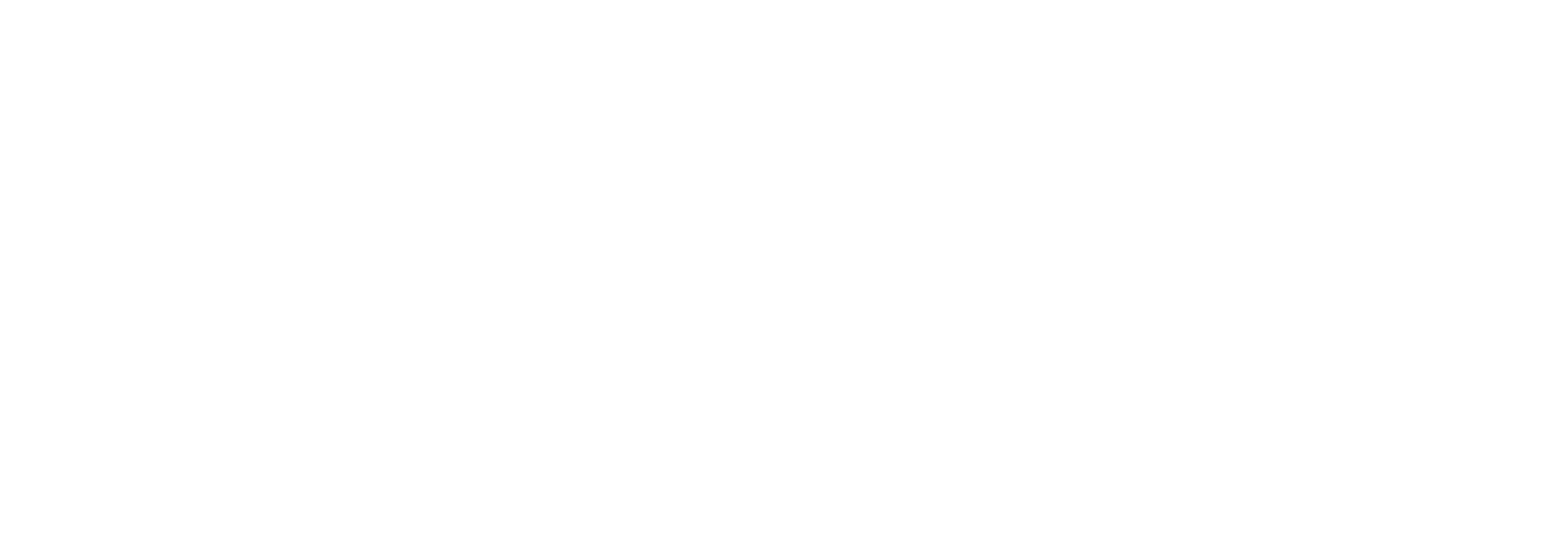 BassX