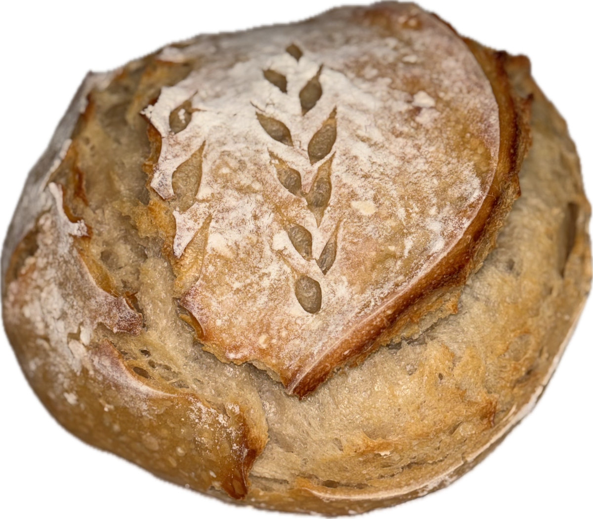 Plain Sourdough Loaf