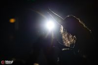 Dirty Deeds - The AC/DC Show