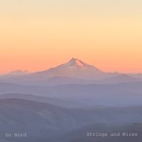 Strings and Wires by Du Nord