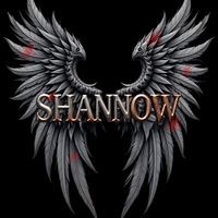 The Split by Shannow