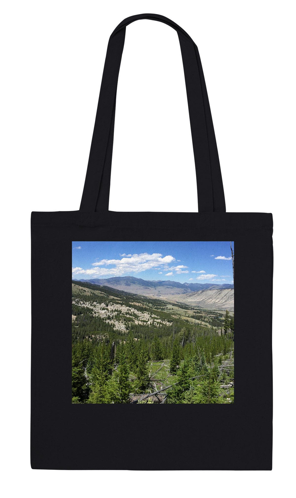Music from the Mind - Tote bag