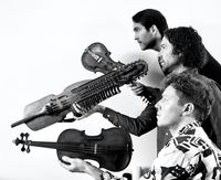 Lodestar Trio