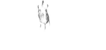 2026
