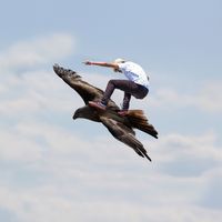 White Eagle Fly.  von Leo Brunner. 