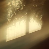 Gold by Can Ray Play Too