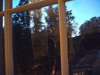 Room...with a view
