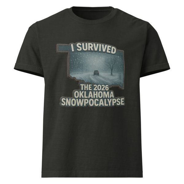 Snowpocalypse Unisex Oversized Garment-Dyed T-Shirt | Bella + Canvas 4810