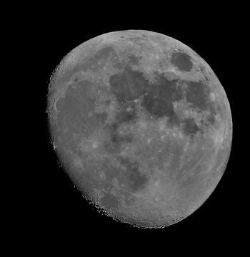 Phone photo taken by Frankland Williams (B.A.S. President) through 'Jocelyn', October 2024.
