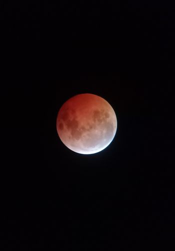 Lunar eclipse March 2025, taken by AnnMarie with her phone through her ES 8.
