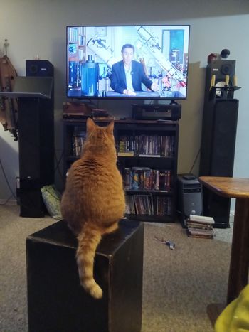 Henrietta finds Ed Ting videos to be informative and entertaining.
