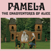 The Unadventures of Alice by Pamela Rocha