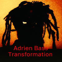 MOVING IN THE LIMELIGHT by ADRIEN BASS