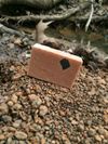 EARTHBOUND TRAIL SCRUB (Charcoal Exfoliant)