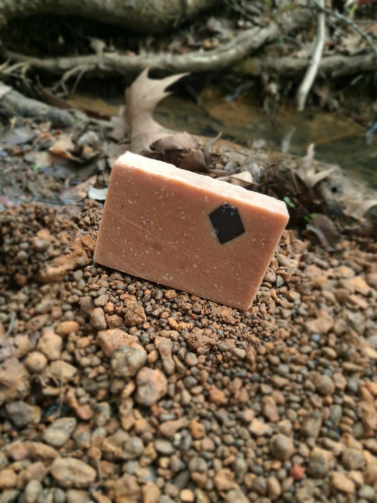 EARTHBOUND TRAIL SCRUB (Charcoal Exfoliant)