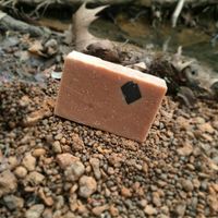EARTHBOUND TRAIL SCRUB (Charcoal Exfoliant)
