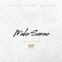 Make Sense by 1983 THE BRAND (Feat. Uncle Gooz)