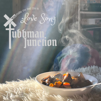 You Make Me Feel Like a Love Song by Tubbman Junction