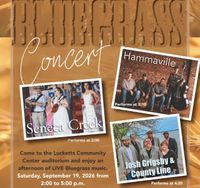 Hammaville at Lucketts Community Event